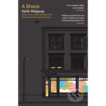 Beletrie pro dospělé A Shock - Keith Ridgway Picador