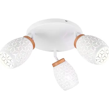 Trio TR61573331 bodové stropní svítidlo BIDAR E14 + K nákupu nad 3000 Kč dárek zdarma