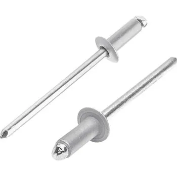 Nýt Nýt PZ 3,2x6mm trhací, BH, KJG-9006 bal. 100 ks