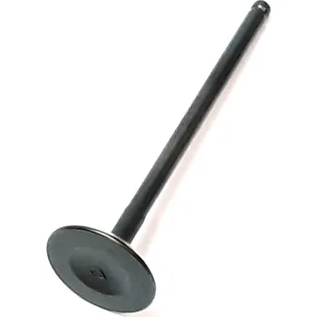 VALVE, EXHAUST 910284