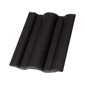 Střešní krytina Terran DANUBIA - taška základní - černá