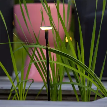 Venkovní osvětlení In-lite In-lite Mini Sway Black Disk 5 cm se stonkem 60 cm dekorativní stojací LED svítidlo