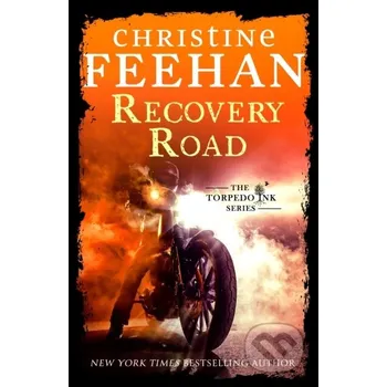 Beletrie pro dospělé Recovery Road - Christine Feehan Piatkus