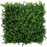 Demeko Trading Zimostráz japonský dílec…