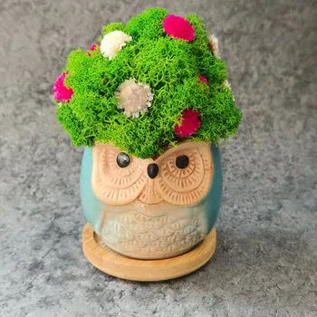 Sovička na bambusové podložce (6 vzorů) Barva: Pistáciová barva, Velikost: tuk