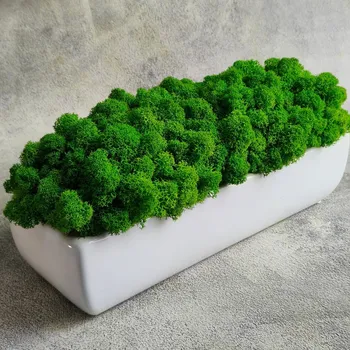 Květináč Podlouhlý květináč s mechem – bílý