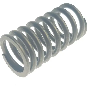 SPRING VALVE INNER 22604