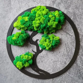 Strom Bonsai z Mechu v Kruhu – elegance a harmonie přírody