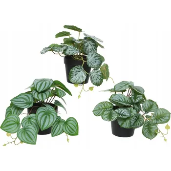 umělá květina Umělá ROSTLINA KVĚT v černém květináči zelená DEKORACE do bytu 18 cm