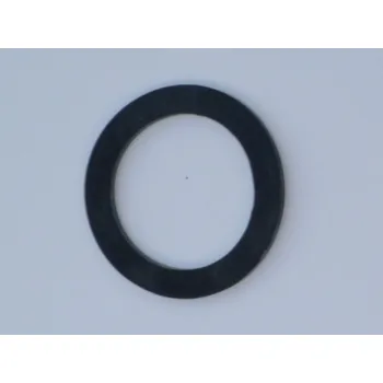 Příslušenství k čerpadlu neuvedeno Těsnění 1" guma pro FLEXO hadice, pro příruby 1"