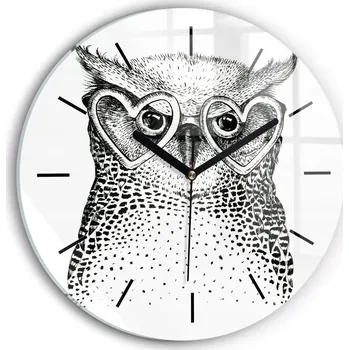 Hodiny Velké čtvercové nástěnné hodiny na zeď Kreslená sova v brýlích fi30 cm