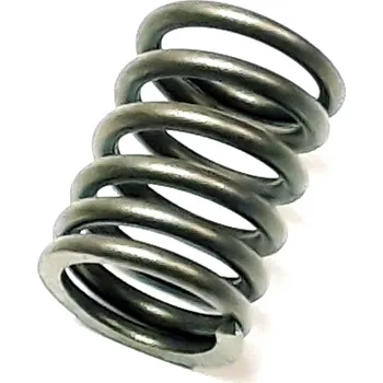 SPRING VALVE OUTER 22605