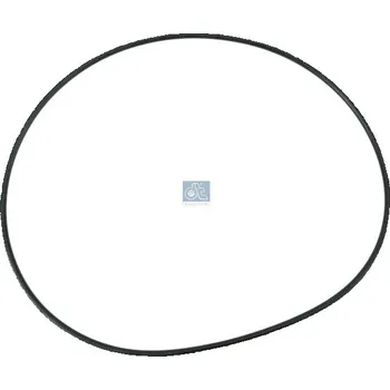 Těsnicí kroužek, náboj kola (planetová převodovka) DT Spare Parts 4.20005
