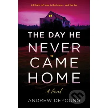 The Day He Never Came Home - Andrew Deyoung Poisoned Pen Press