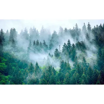 Fototapeta Fototapeta 400x254 vliesová tapeta hory #F104