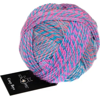 Příze Příze Schoppel Wolle Crazy Boys 2709 Christian