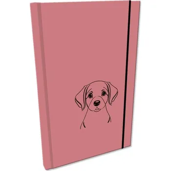 Zápisník Notes A5, vícebarevný