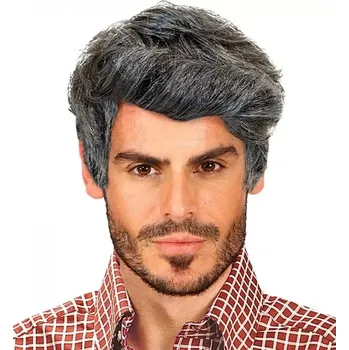 Karnevalová paruka Paruka šedá pánská