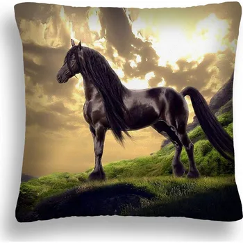 Polštář POLŠTÁŘ NA POLŠTÁŘ POVLAK + VÝPLŇ VLOŽKA SLUNEČNÍ FANTASY KŮŇ 21 70x80