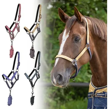 Vybavení pro koně Ohlávka s vodítkem QHP Kolekce 2025