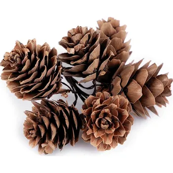 umělá květina Přírodní šišky na drátku