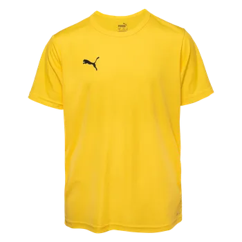 Chlapecké tričko Dětské Tričko s krátkým rukávem PUMA TEAMRISE MATCHDAY JR 70628407 – Žlutá 116