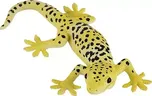 Mojo Gekon Leopardí