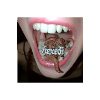 Zahraniční hudba Hexed! / Vinyl - Aya [LP]