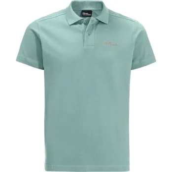 Pánské tričko Pánské triko Jack Wolfskin ESSENTIAL POLO M M Zelená