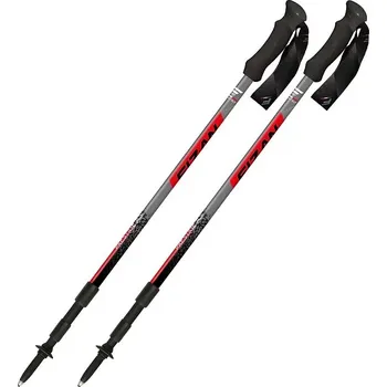 Trekingová hůl Fizan Prestige AS Barva: šedá