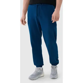 Pánské tepláky 4F 4F modrá 3258823