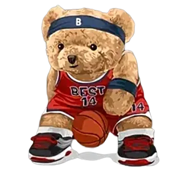 Nažehlovací obrázek - méďa BASKETBALL (7,3 x 9,0 cm)