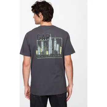 Pánské tričko GAP Tričko s logem - Pánské GAP šedá 3250496