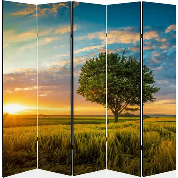 Paraván Paraván závěs do kadeřnictví, obývacího pokoje, 225x172 cm, výhled na šířku