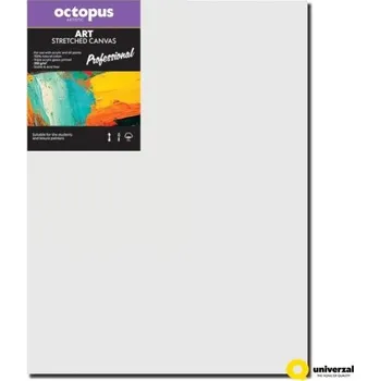 Textilie Malířské plátno OCTOPUS Professional - 40 x 60 cm - 350 g/m2