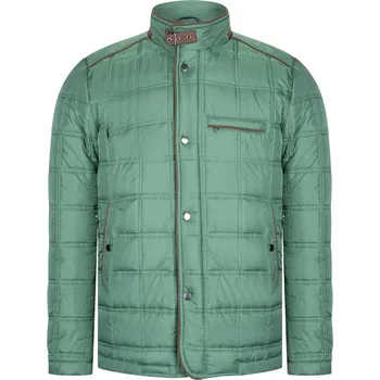 Pánská větrovka Pánská bunda dewberry dewberry zelená 2056275