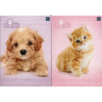 Sešit Sešit A5 s linkami Interdruk, 16 listů