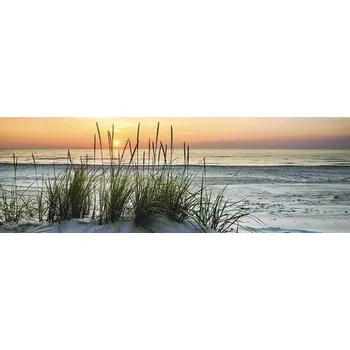 Obraz Obraz na plátně 150 x 50 cm Tráva