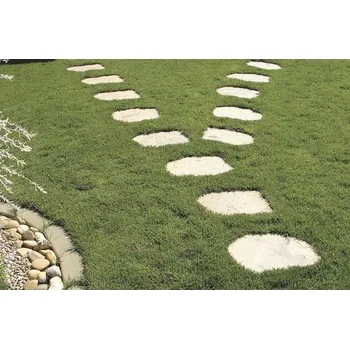 Dlažba Nášlapný kámen Bradstone Old Town 3,7 cm, pískovcová