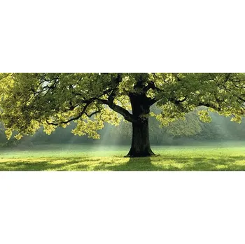 Obraz Obraz na plátne "Dub" 150 x 60 cm