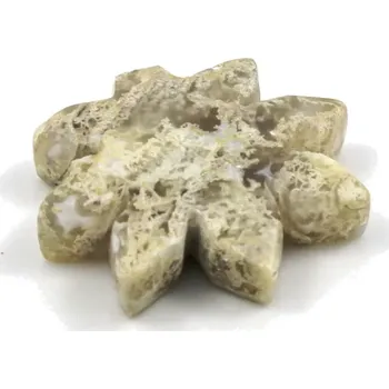 Drahý kámen Achát mechový – list hnědý