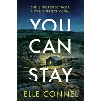 Beletrie pro dospělé You Can Stay - Elle Connel Wildfire