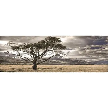 Obraz Obraz na plátně "Savana" 120 x 50 cm