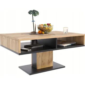 Konferenční stolek Konferenční stolek Matkam obdélníkový 100 x 50 x 50 cm černý, dub artisan