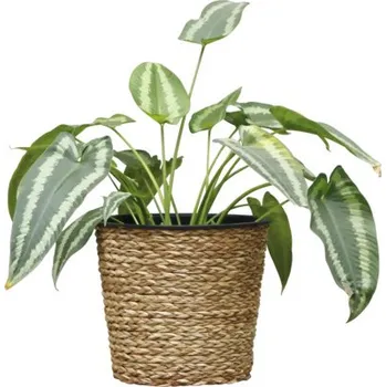 Květináč Obal na květináč mořská tráva Ø 20 x 17 cm hnědý