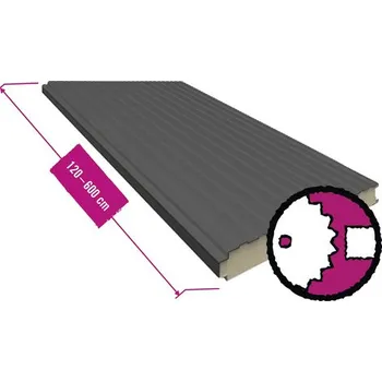 Obklad Sendvičový panel stěnový antracit 40 mm, šířka 1000 mm, délka na přání 120-600 cm