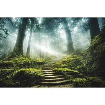 Obraz Obraz na plátně "Schody" 150 x 60 cm