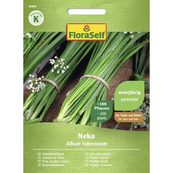 Semeno Pažitka čínská česneková Neko FloraSelf