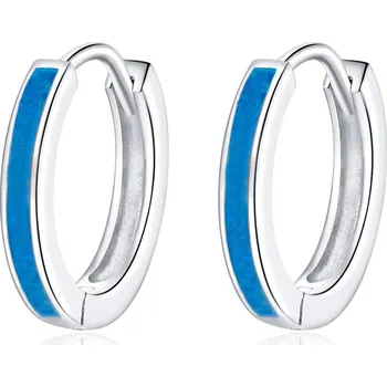 Náušnice Dámské stříbrné náušnice DELPHINE Ag 925