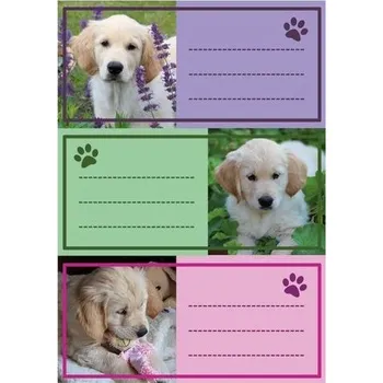 Set školních potřeb Naklejki szkolne - Pieski 9szt